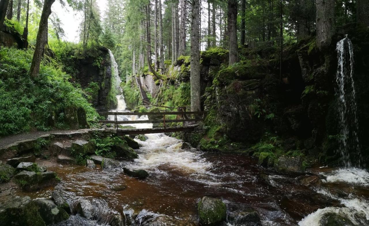 C3 Albmatte-Fewo Sauna, Hallenbad Aussenbecken Massagen Nebenan St. Blasien Zewnętrze zdjęcie