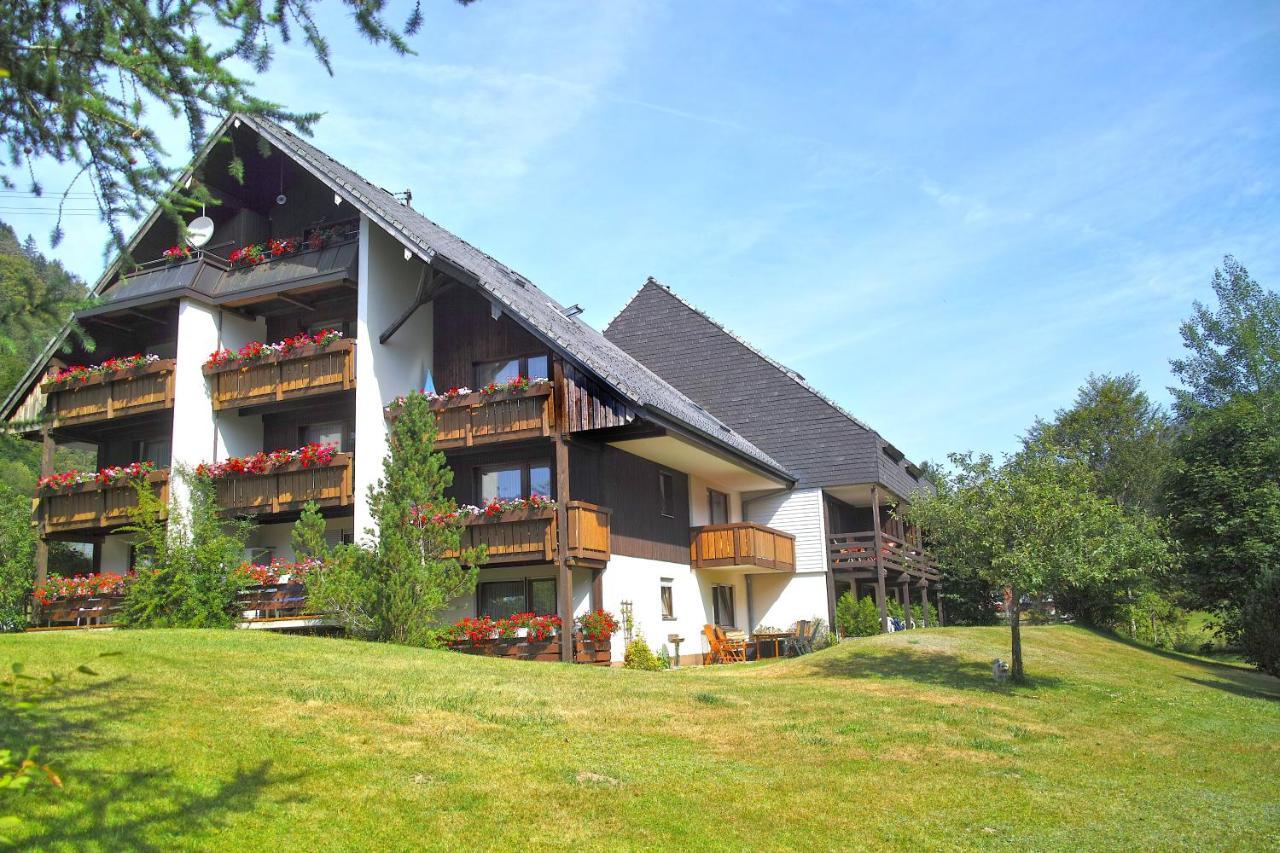 C3 Albmatte-Fewo Sauna, Hallenbad Aussenbecken Massagen Nebenan St. Blasien Zewnętrze zdjęcie