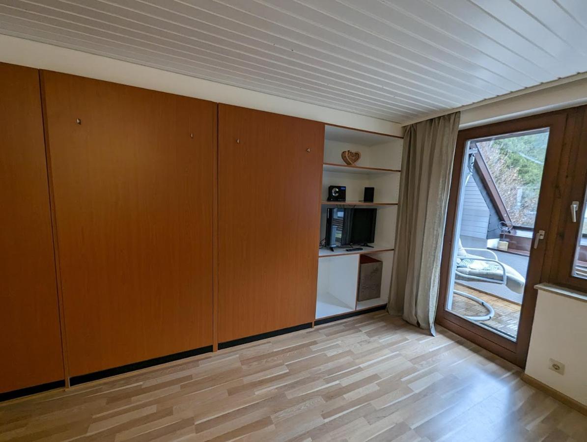 C3 Albmatte-Fewo Sauna, Hallenbad Aussenbecken Massagen Nebenan St. Blasien Zewnętrze zdjęcie