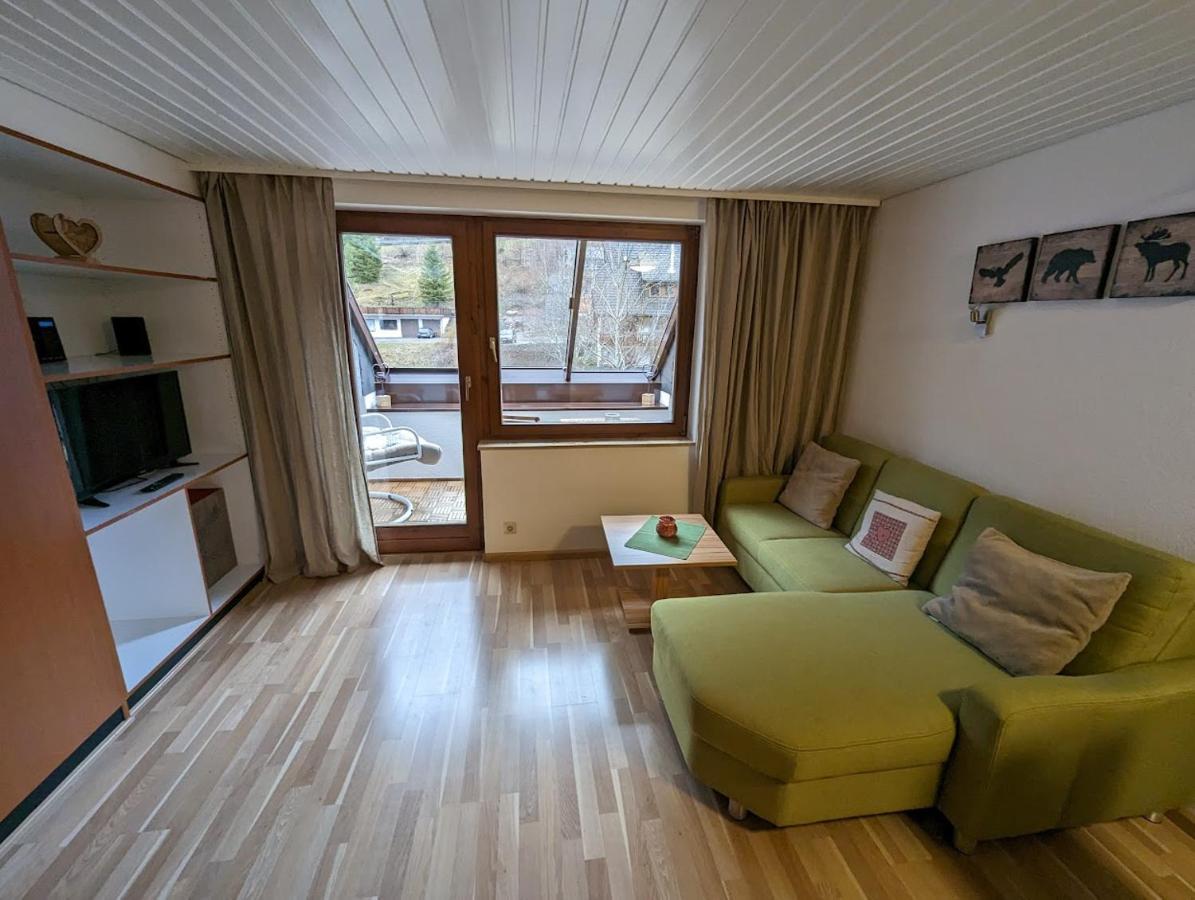 C3 Albmatte-Fewo Sauna, Hallenbad Aussenbecken Massagen Nebenan St. Blasien Zewnętrze zdjęcie