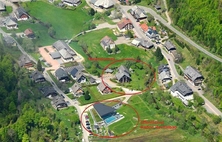 C3 Albmatte-Fewo Sauna, Hallenbad Aussenbecken Massagen Nebenan St. Blasien Zewnętrze zdjęcie