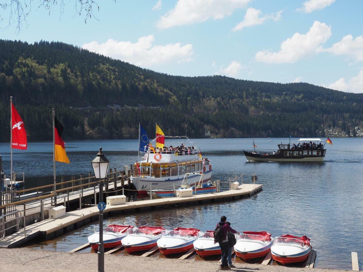 C3 Albmatte-Fewo Sauna, Hallenbad Aussenbecken Massagen Nebenan St. Blasien Zewnętrze zdjęcie