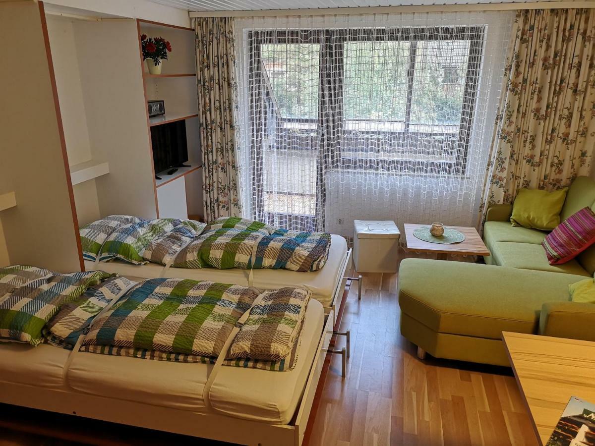C3 Albmatte-Fewo Sauna, Hallenbad Aussenbecken Massagen Nebenan St. Blasien Zewnętrze zdjęcie