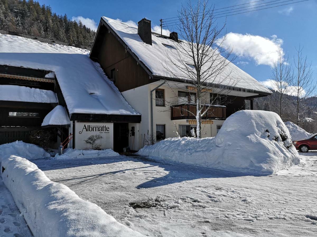 C3 Albmatte-Fewo Sauna, Hallenbad Aussenbecken Massagen Nebenan St. Blasien Zewnętrze zdjęcie