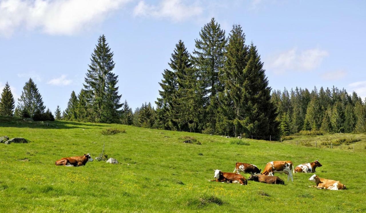 C3 Albmatte-Fewo Sauna, Hallenbad Aussenbecken Massagen Nebenan St. Blasien Zewnętrze zdjęcie