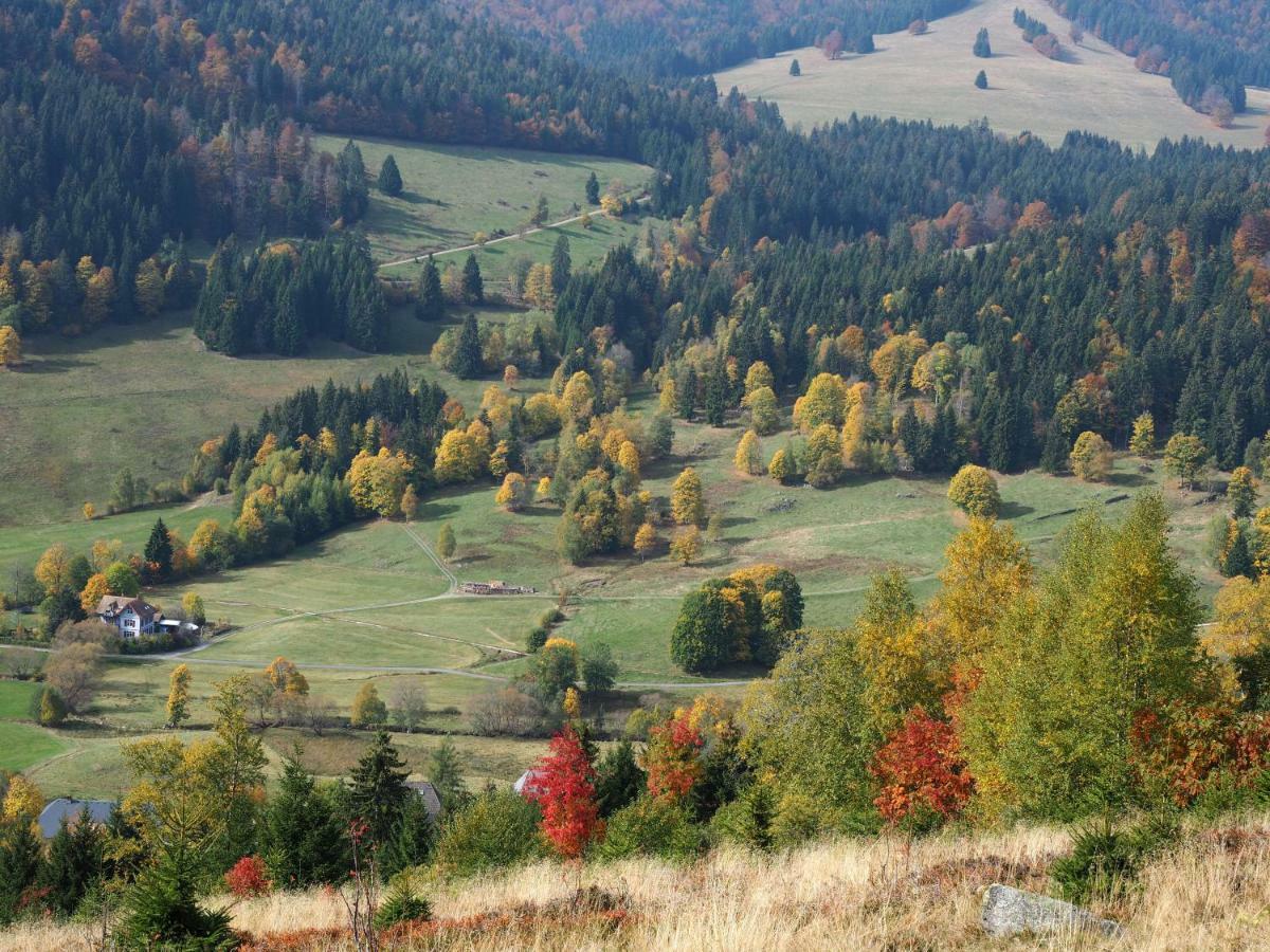 C3 Albmatte-Fewo Sauna, Hallenbad Aussenbecken Massagen Nebenan St. Blasien Zewnętrze zdjęcie