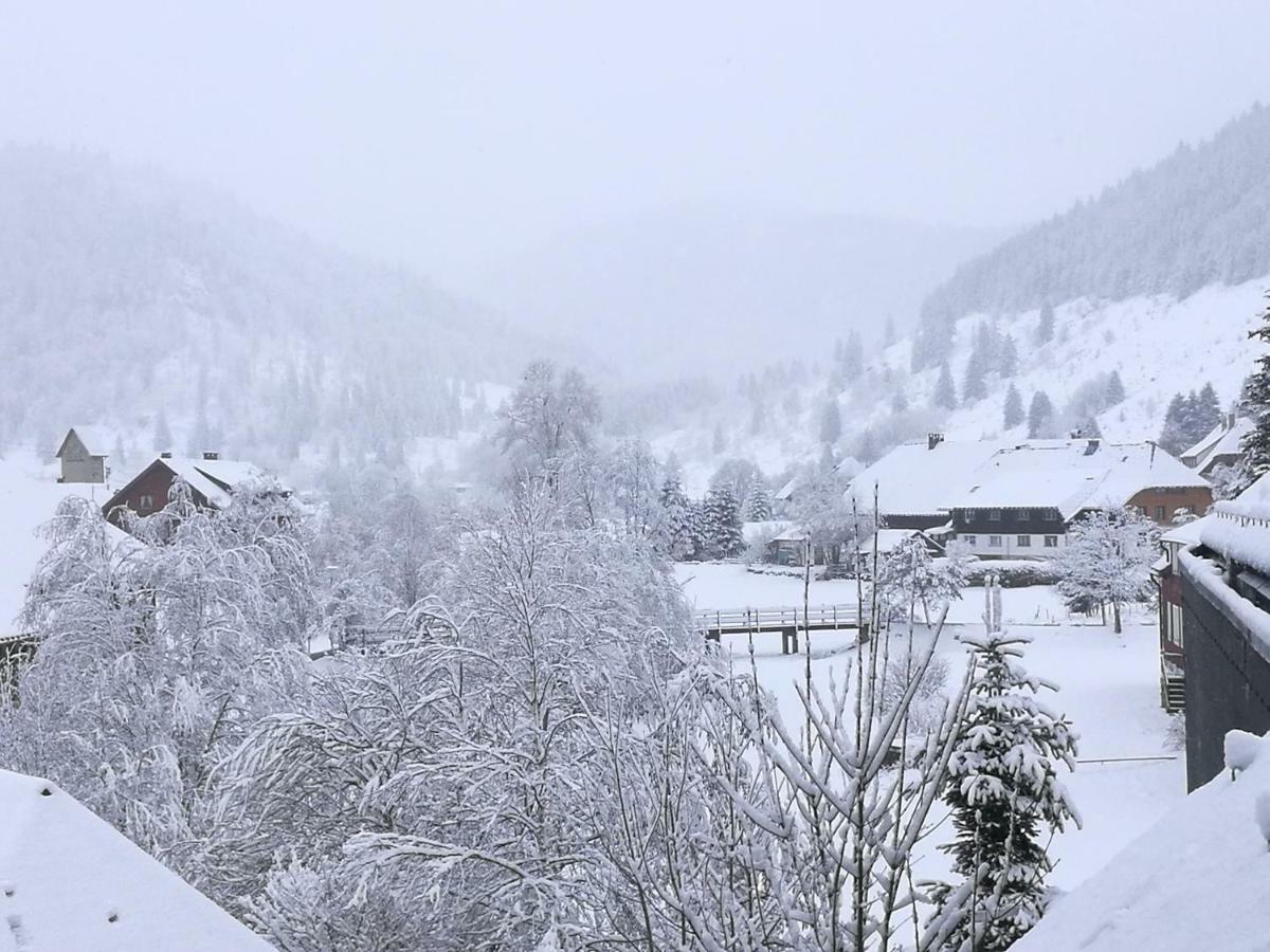 C3 Albmatte-Fewo Sauna, Hallenbad Aussenbecken Massagen Nebenan St. Blasien Zewnętrze zdjęcie