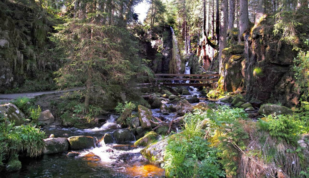C3 Albmatte-Fewo Sauna, Hallenbad Aussenbecken Massagen Nebenan St. Blasien Zewnętrze zdjęcie