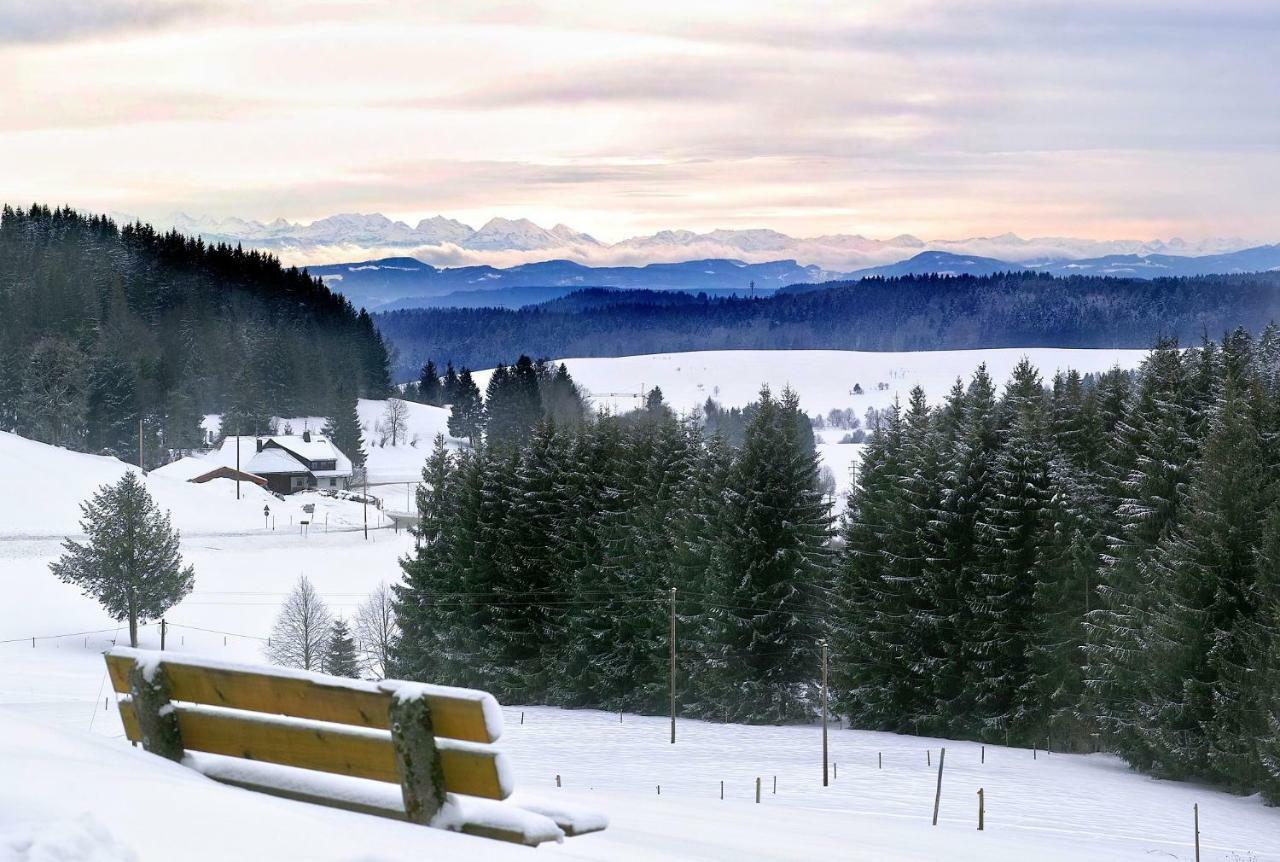 C3 Albmatte-Fewo Sauna, Hallenbad Aussenbecken Massagen Nebenan St. Blasien Zewnętrze zdjęcie