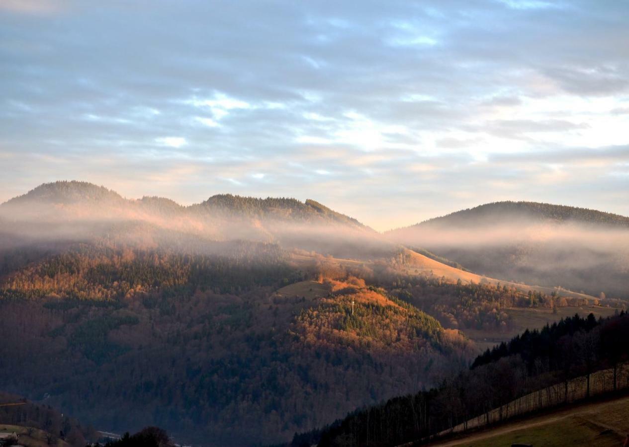 C3 Albmatte-Fewo Sauna, Hallenbad Aussenbecken Massagen Nebenan St. Blasien Zewnętrze zdjęcie