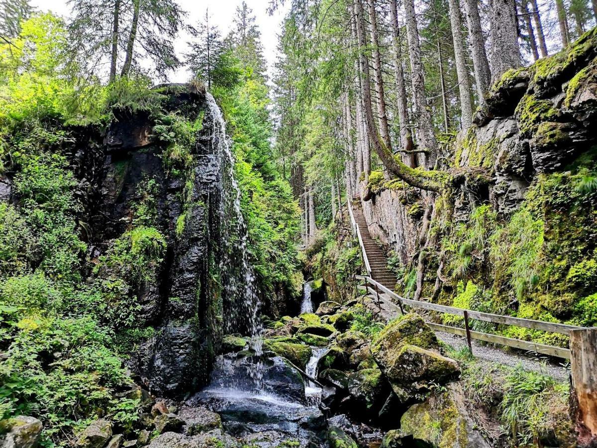 C3 Albmatte-Fewo Sauna, Hallenbad Aussenbecken Massagen Nebenan St. Blasien Zewnętrze zdjęcie