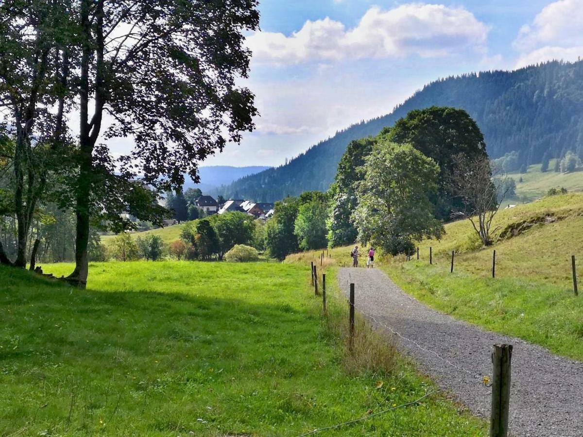 C3 Albmatte-Fewo Sauna, Hallenbad Aussenbecken Massagen Nebenan St. Blasien Zewnętrze zdjęcie