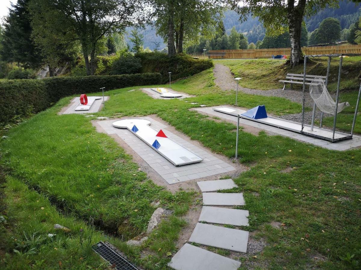 C3 Albmatte-Fewo Sauna, Hallenbad Aussenbecken Massagen Nebenan St. Blasien Zewnętrze zdjęcie