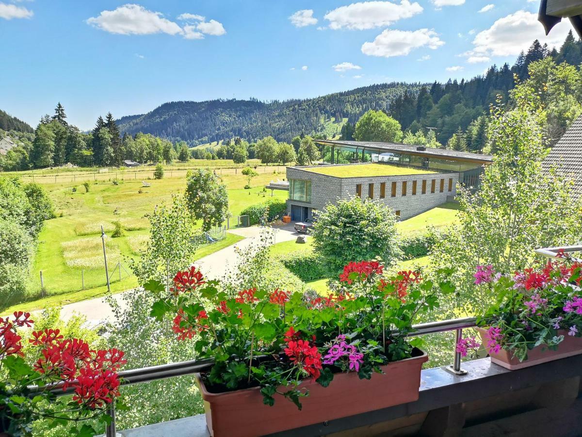 C3 Albmatte-Fewo Sauna, Hallenbad Aussenbecken Massagen Nebenan St. Blasien Zewnętrze zdjęcie