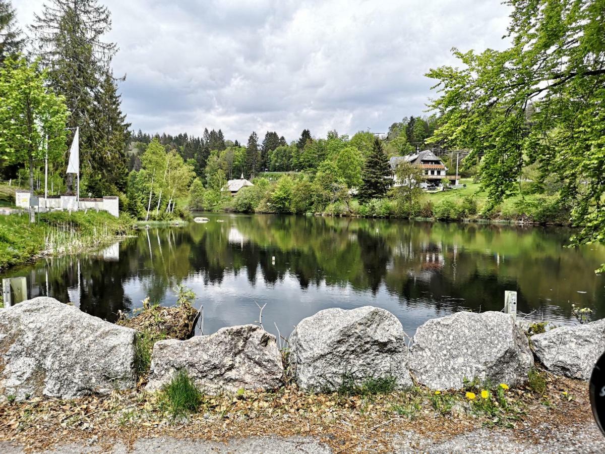 C3 Albmatte-Fewo Sauna, Hallenbad Aussenbecken Massagen Nebenan St. Blasien Zewnętrze zdjęcie