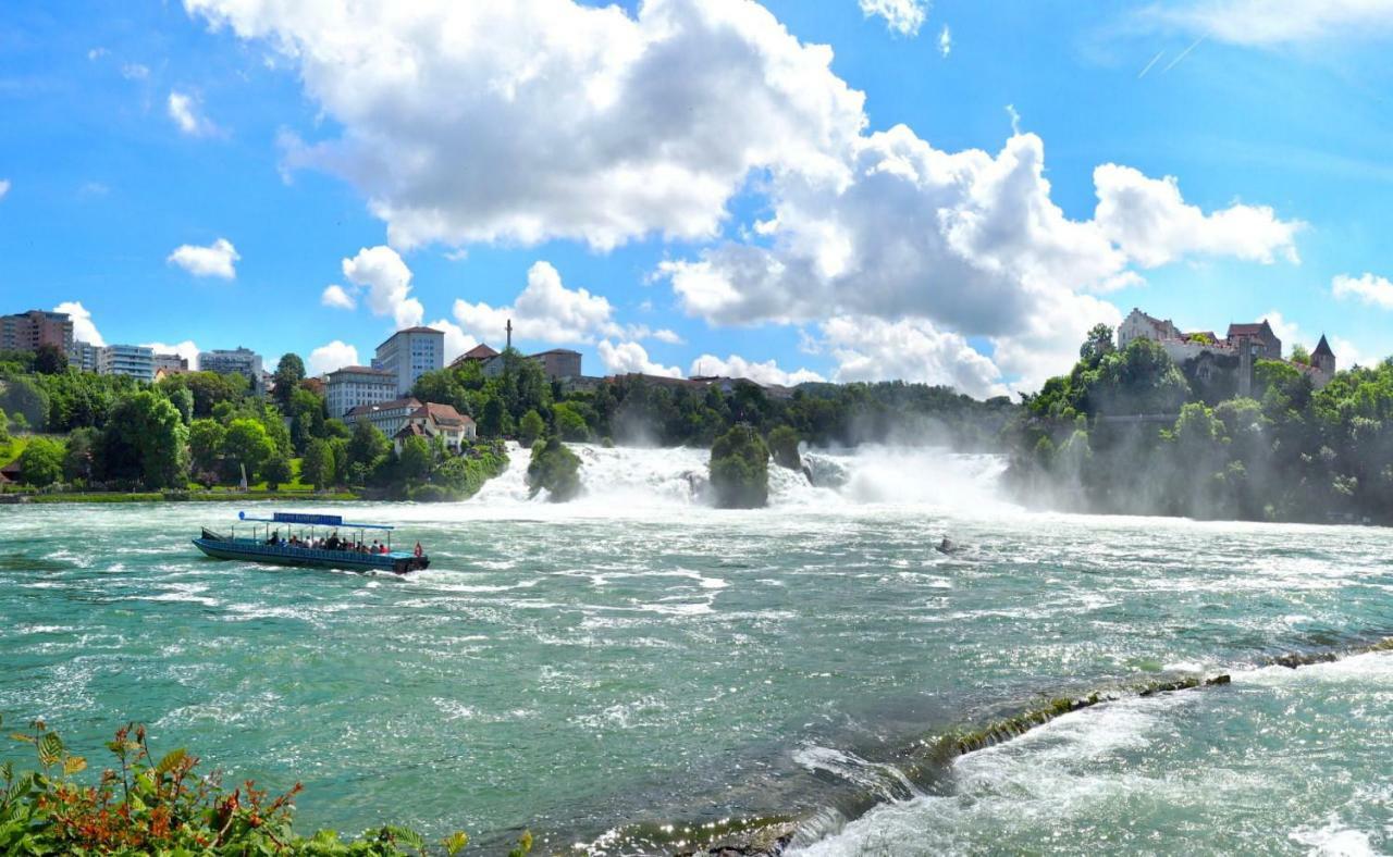 C3 Albmatte-Fewo Sauna, Hallenbad Aussenbecken Massagen Nebenan St. Blasien Zewnętrze zdjęcie